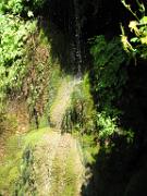 Tonto Natural Bridge 027